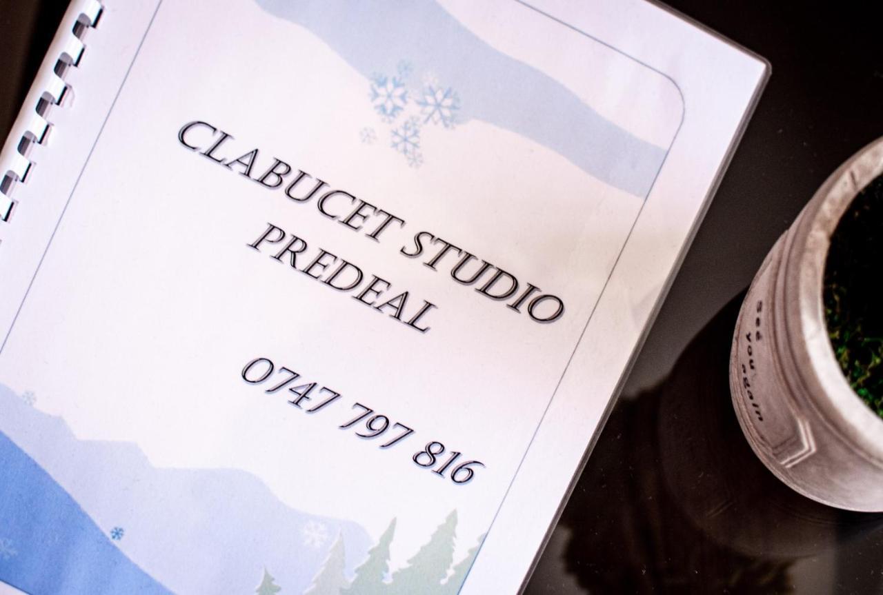 Clabucet Studio Predeal Exterior photo
